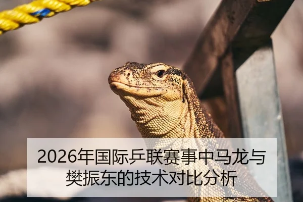 2026年国际乒联赛事中马龙与樊振东的技术对比分析
